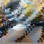  ΔΙΑΚΟΣΜΗΤΙΚΟ ΑΛΟΓΟ RESIN ΜΑΥΡΟ/ΧΡΥΣΟ INART