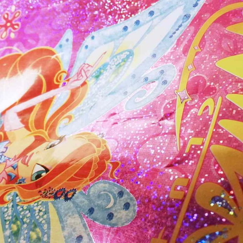 Winx Club Bloom A4 Notebook Cover used