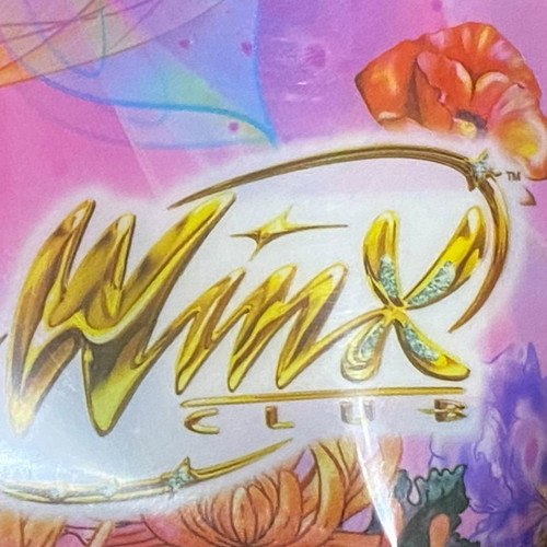 Winx club plastic folder used, A4 size
