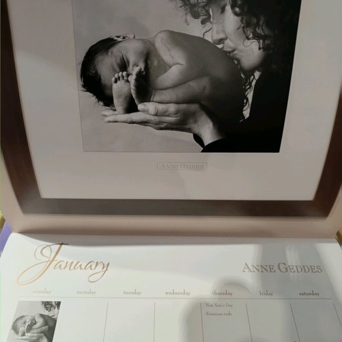 Anne Geddes 2009 calendar like new with photographic material