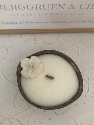 Coconut Plant-Based Candle 220 ml New, Handmade with Wooden Wick