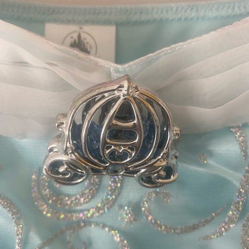 Cinderella costume from Disneyland worn for 2-3 hours