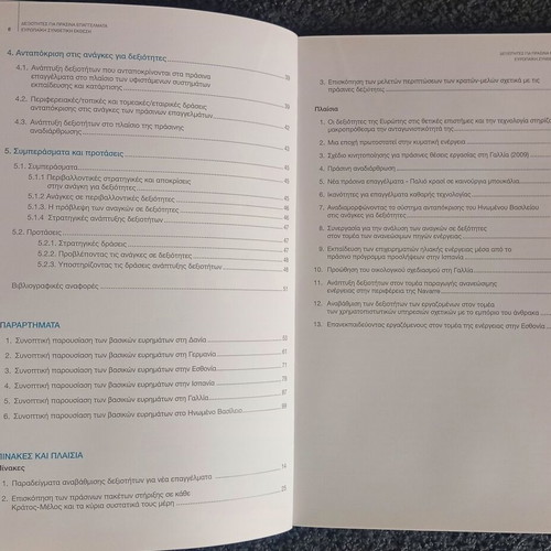 Skills for Green Professions European Synthetic Report like new