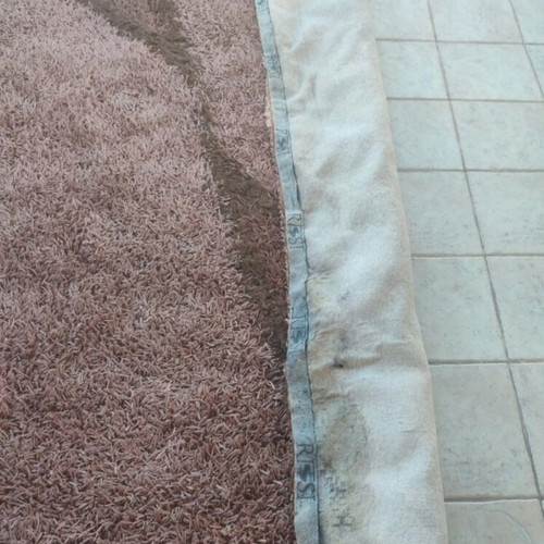 Shaggy Rissi rug used, 300cm x 200cm, earth tones