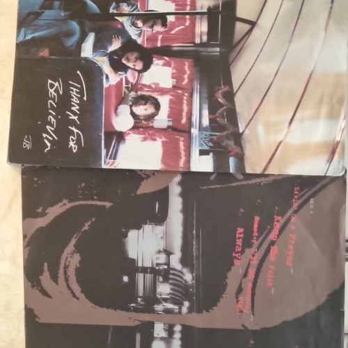 Bon Jovi The Best Of vinyl used
