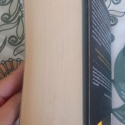 The Thirst by Jo Nesbo used, thriller novel pocket edition