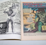 Daredevil #61 Marvel comic used, 1970 edition