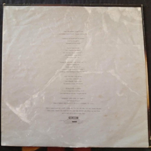 Babes in Toyland Fontanelle 1992 LP, punk