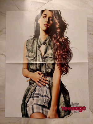 One Direction & Demy poster like new