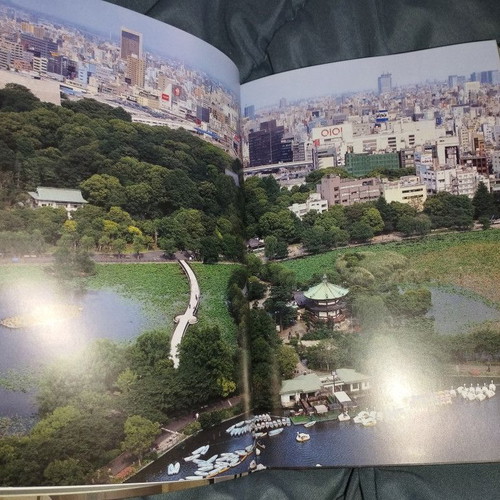 Tokyo Style book like new, English, Taschen Icons