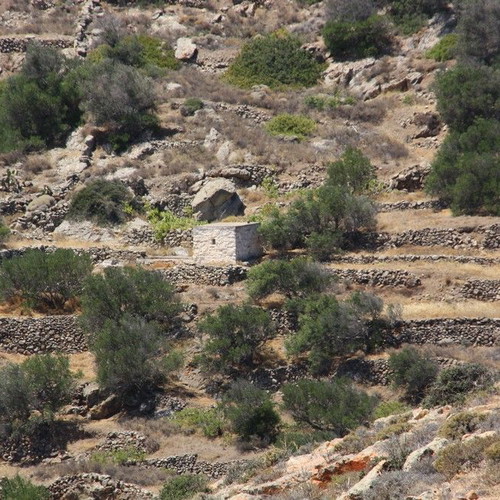 Agricultural land 2,370 m² with 21 olive trees, out of plan, mountain view in Elaionas