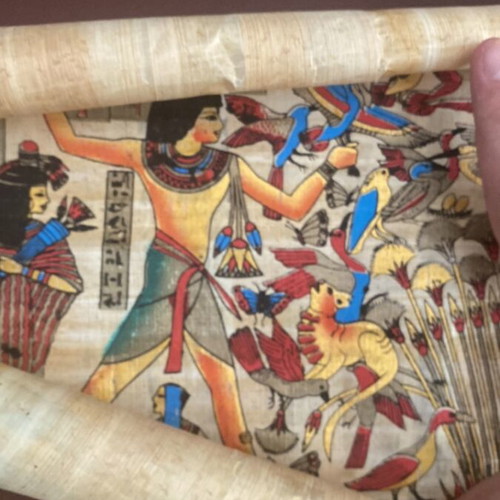 Papyrus new, purchased from Egypt