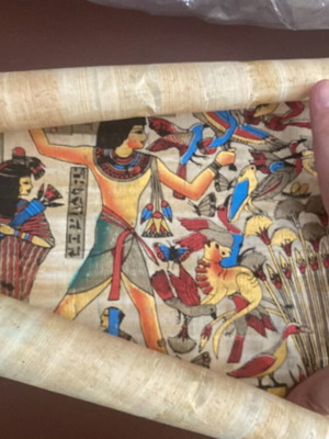 Papyrus new, purchased from Egypt