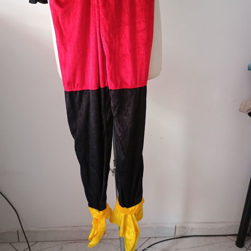 Mickey Mouse Disney costume used