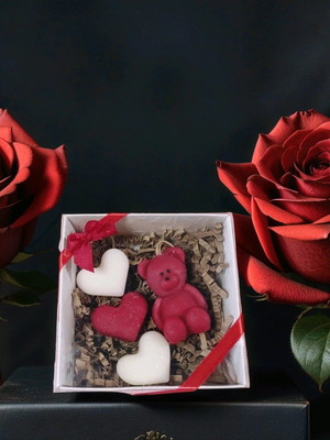 Scented Closet Bear and 3 Wax Melts Gift Set New