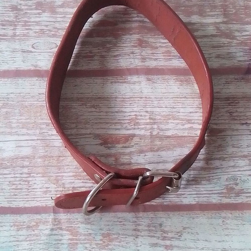 Soft leather dog collar brown like new