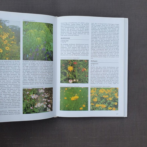 Geïllustreerde Border Planten Encyclopedie gardening book by Hanneke van Dijk