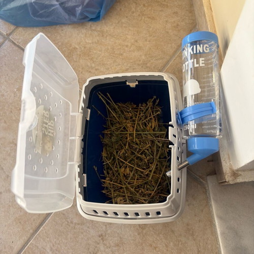 Cage for hamster or rabbit new