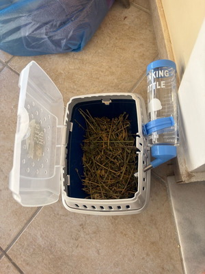 Cage for hamster or rabbit new