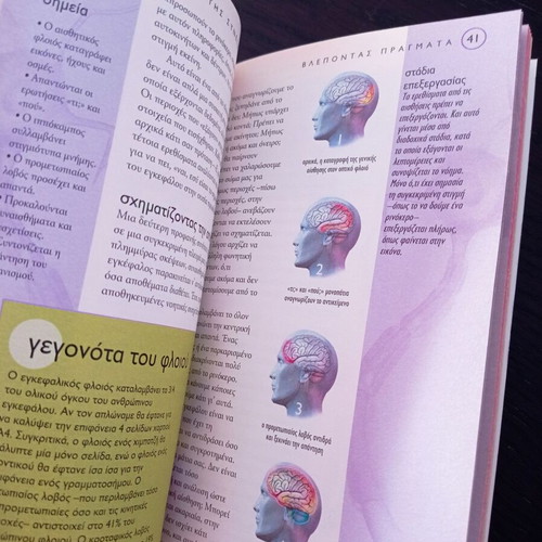 How the Brain Works DK like new