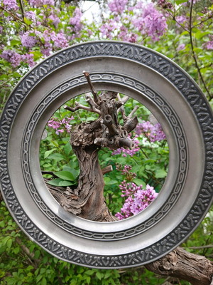 Decorative tray like new