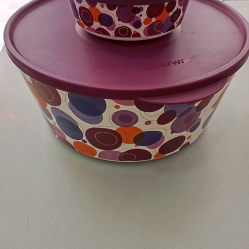 Set of 2 Collectible Artist Bowls Tupperware like new