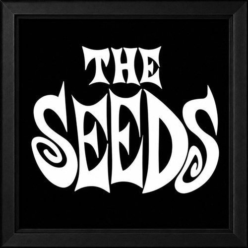 The Seeds poster new, 30×30cm with frame
