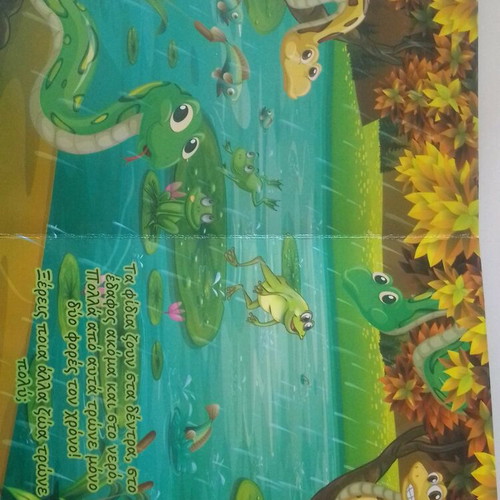 Learning Jungle Animals children's book like new
