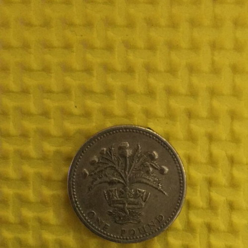 Rare 1984 English Pound Coin Nemo Impune Lacessit used