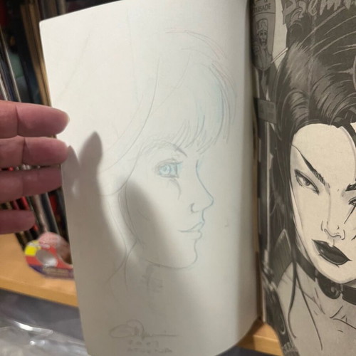 Definitive Shi book like new, English