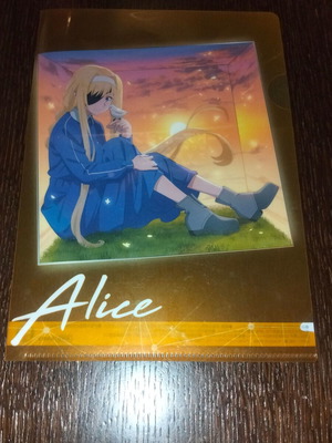 Small anime folder 21x17cm like new
