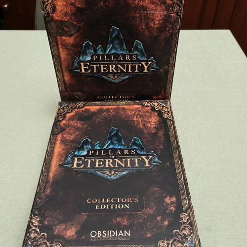 Pillars of Eternity Collector's Edition PC game used