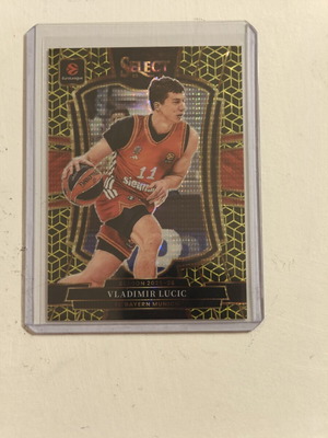 Vladimir Lucic basketball card new condition
