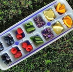 Tupperware ice tray for 14 large ice cubes