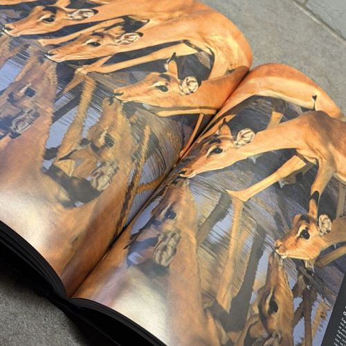 The Shine of the Earth book like new, nature photography