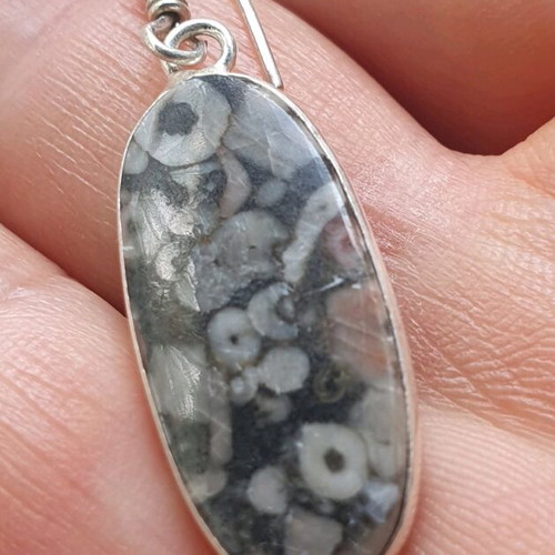 Fossil Crinoid Earrings silver plated 925, new