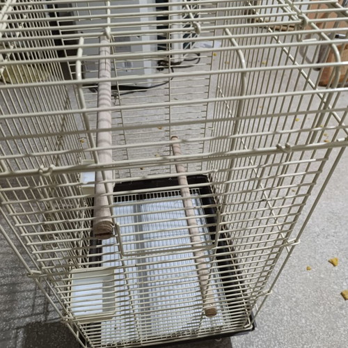 Large metal bird cage like new, with wooden perches and feeders