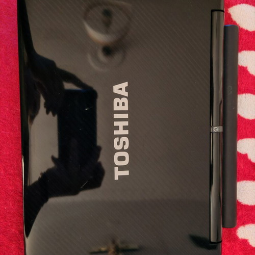 Toshiba NB200 netbook with bag and wireless mouse
