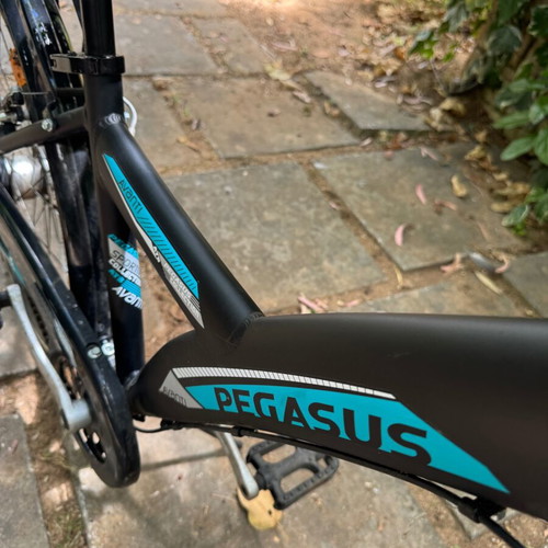 Pegasus Avanti City Trekking Bike used, 24 inch, blue, front suspension