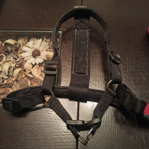 Dog harnesses used, pack of 2, chest strap collars