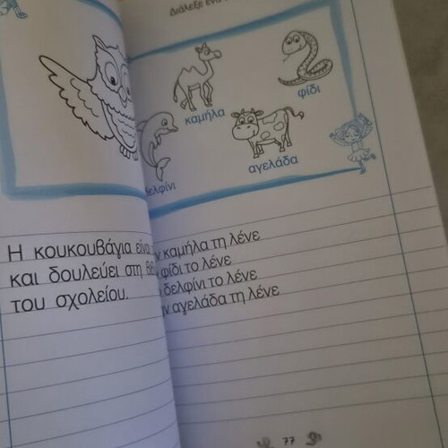 Activity notebooks for primary school children new, all together or separate