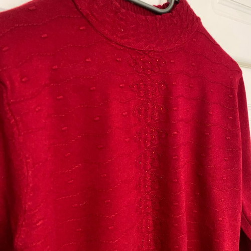 Red pullover turtleneck with details