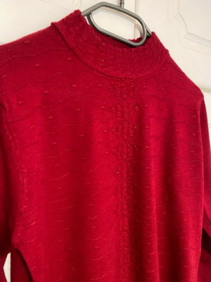 Red pullover turtleneck with details