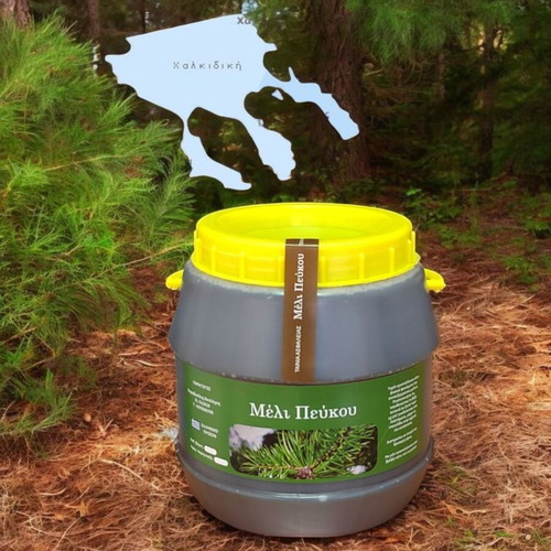 Pine honey from Halkidiki 3 kg new