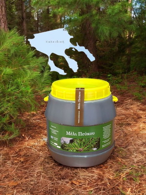 Pine honey from Halkidiki 3 kg new