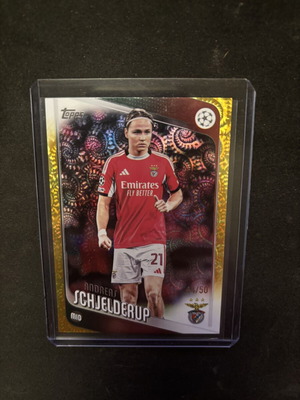 Andreas Schjelderup Benfica card new, hot star