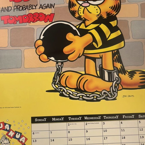 Garfield 1978 calendar used