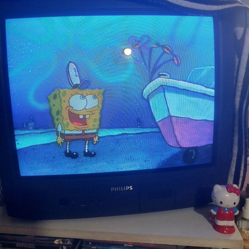 SpongeBob SquarePants DVD with episodes, dubbed