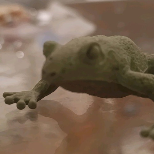 Flexible Plastic Frog Toy used, green color