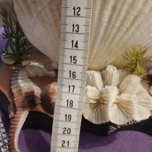 Decorative lamp with seashells from Aruba, vintage
